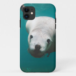 Case-Mate iPhone Case Beau Lion de Mer