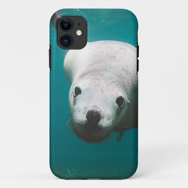 Coques Case-Mate iPhone Beau Lion de Mer (Dos)