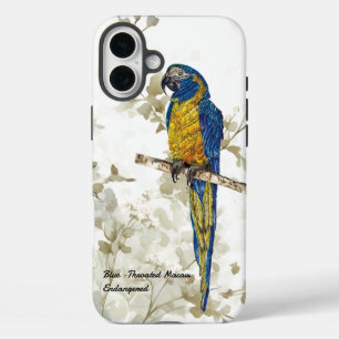Coque Pour iPhone 16 Plus Beau oiseau en voie de disparition peint à la main