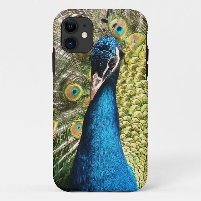 Coques Case-Mate iPhone Beau Peacock (Dos)