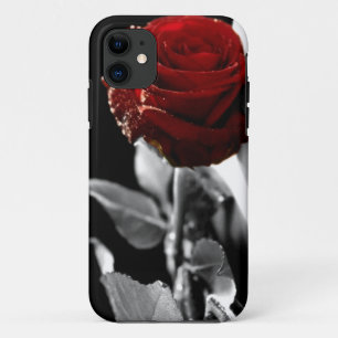 Coques Pour iPhone Beau rose rouge avec l'arrière - plan noir et