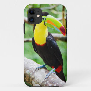 Coques Pour iPhone Beau toucan