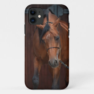 Case-Mate iPhone Case beauté des chevaux arabes. baie
