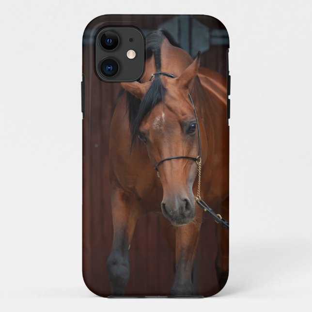 Coques Case-Mate iPhone beauté des chevaux arabes. baie (Dos)