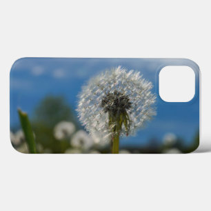 Etui iPhone 13 Beauté d'un pissenlit