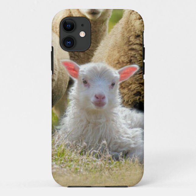 Coques Case-Mate iPhone Bébé agneau mouton troupeau troupeau troupeau (Dos)