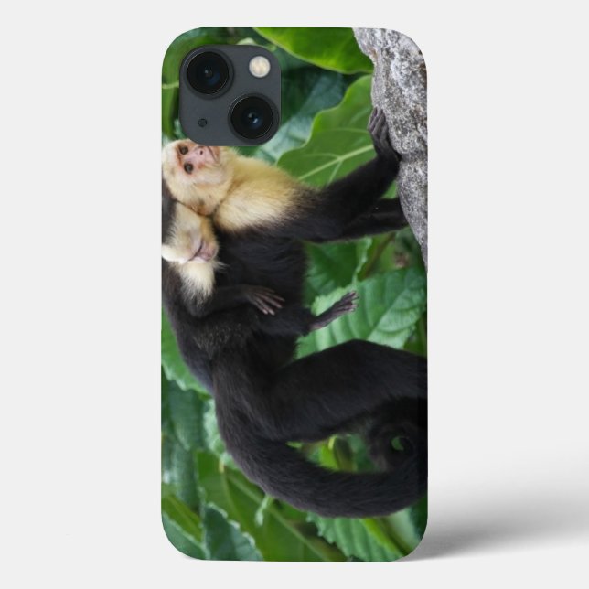 Coques Case-Mate iPhone Bébé de transport de singe adulte de capucin sur (Verso)