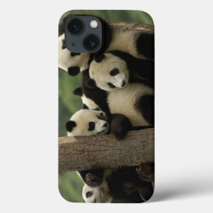 Etui iPhone Case-Mate Bébés panda géant Ailuropoda melanoleuca)