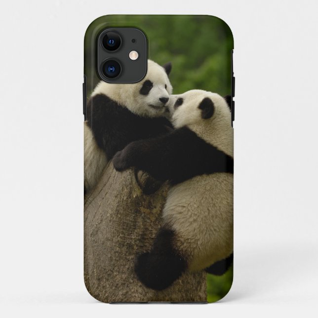 Coques Case-Mate iPhone Bébés pandas géants (Ailuropoda melanoleuca) (Dos)