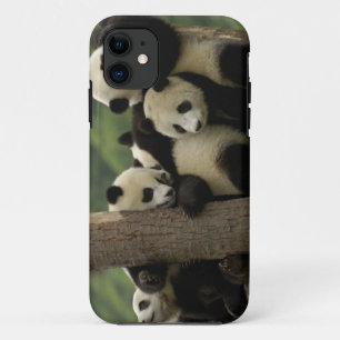 Coque Case-Mate Pour iPhone Bébés pandas géants Ailuropoda melanoleuca)