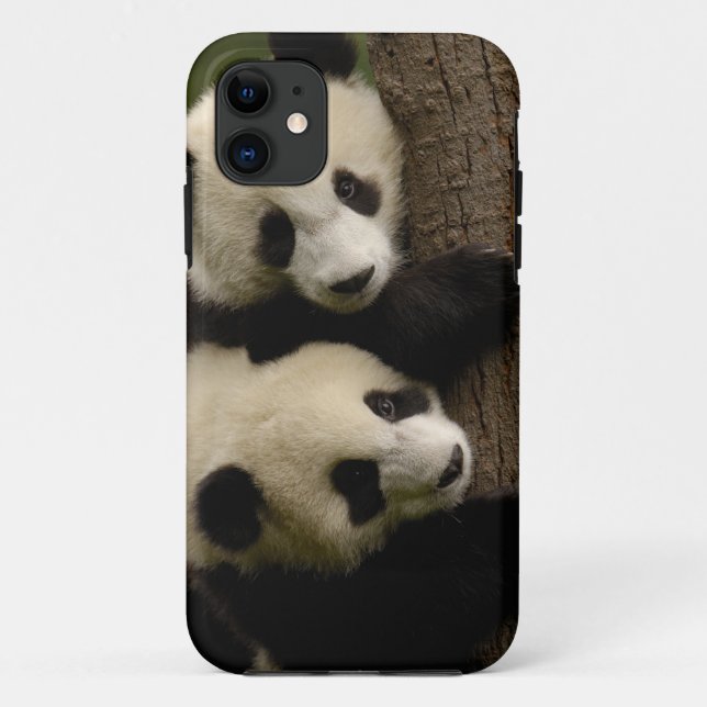 Coques Case-Mate iPhone Bébés pandas géants (Ailuropoda melanoleuca) 2 (Dos)