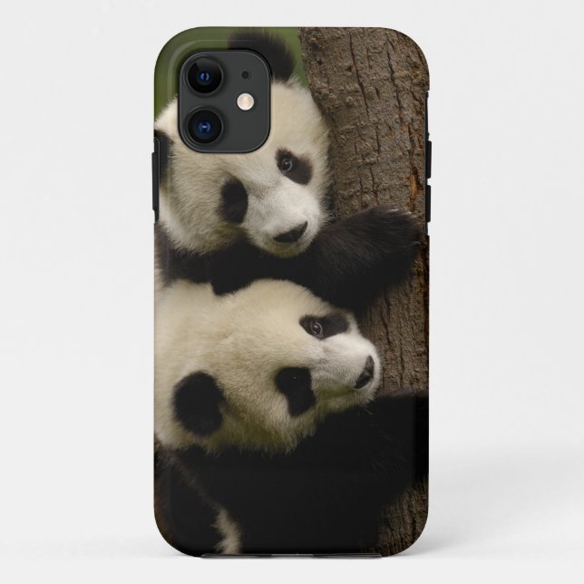 Coques Case-Mate iPhone Bébés pandas géants (Ailuropoda melanoleuca) 2 (Dos)