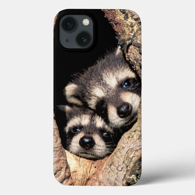 Coques Case-Mate iPhone Bébés Raccoons se jettent dans l'arbre (Verso)