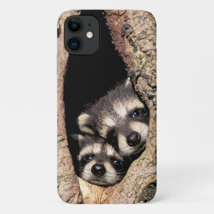 Case-Mate iPhone Case Bébés ratons laveurs regardant hors d'un arbre