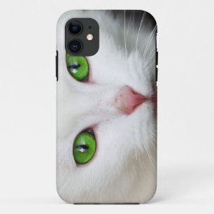Coque iPhone 11 Bel amoureux des animaux blanc de chaton de chat