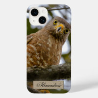 Belize Brown Roadside Hawk Bird Photographie