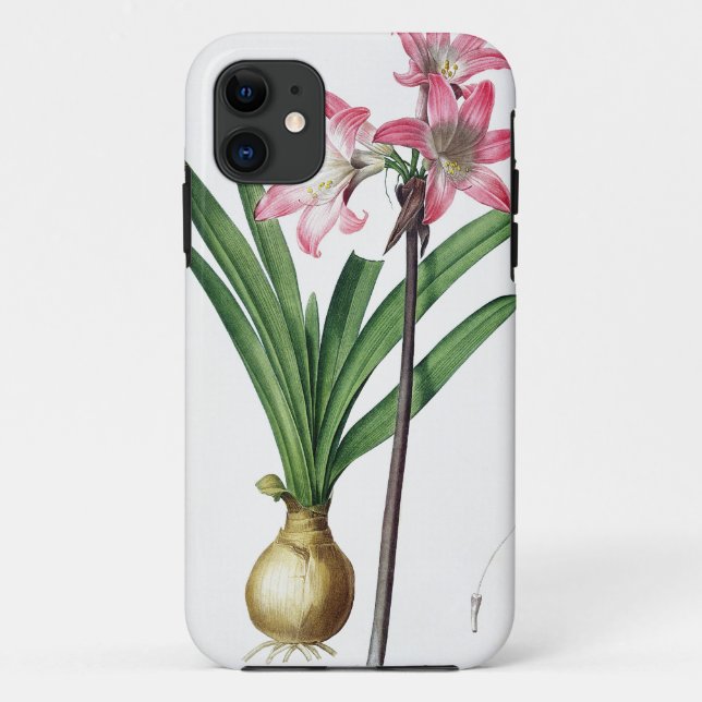 Coques Case-Mate iPhone Belladone d'amaryllis, de "Les Liliacees", engrav (Dos)