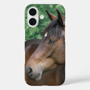 Coque Pour iPhone 16 Belle Baie Cheval Face