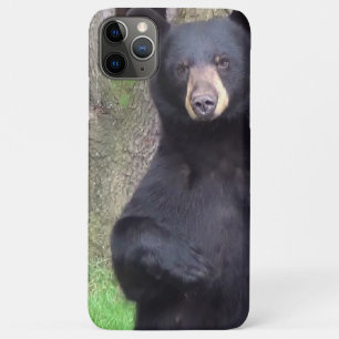 Case-Mate iPhone Case Belle Ours Noir