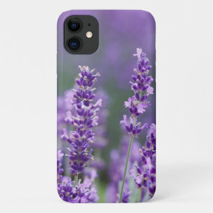 Case-Mate iPhone Case Belles fleurs de lavande en fleurs