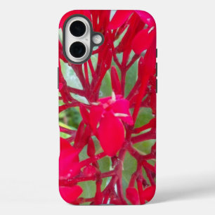 Coque Pour iPhone 16 Plus Belles fleurs rouges superbes