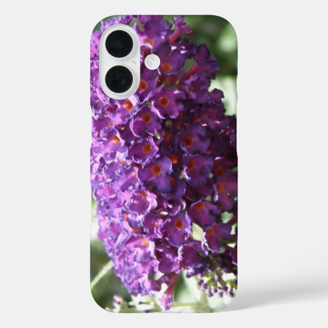 Coques Case-Mate iPhone Belles fleurs violettes de Buddleia (Verso)