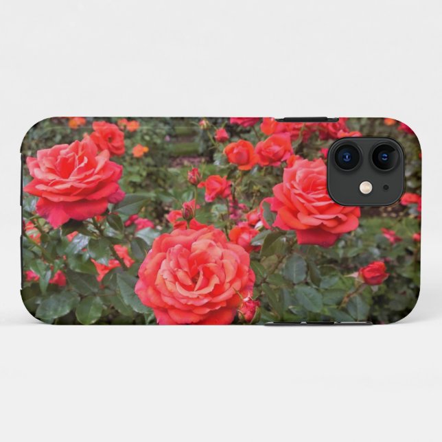 Coques Case-Mate iPhone Belles Roses, Portland, Oregon (Dos (Horizontal))