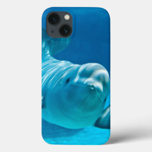 Etui iPhone 13 Beluga Whale