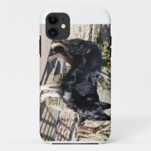 Case-Mate iPhone Case berger allemand noir complet.png