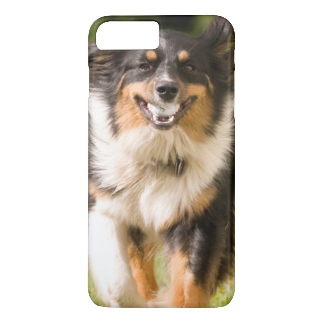 Coques Case-Mate iPhone Berger Australien Jouant Avec Balle (Dos)
