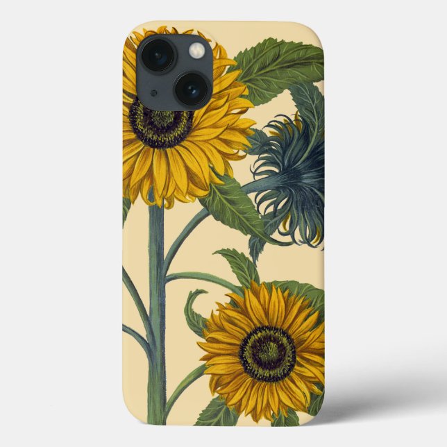 Coques Case-Mate iPhone Besler (Verso)
