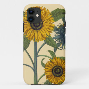 Coque Case-Mate Pour iPhone Besler : Tournesol