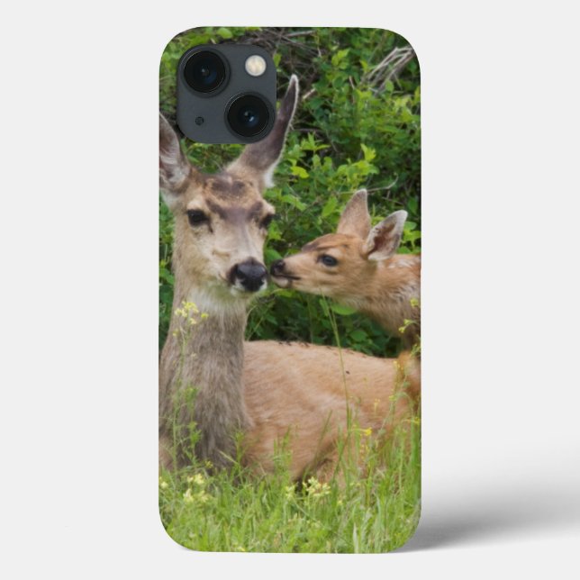 Coques Case-Mate iPhone Biche de cerf mulet avec faon (Verso)