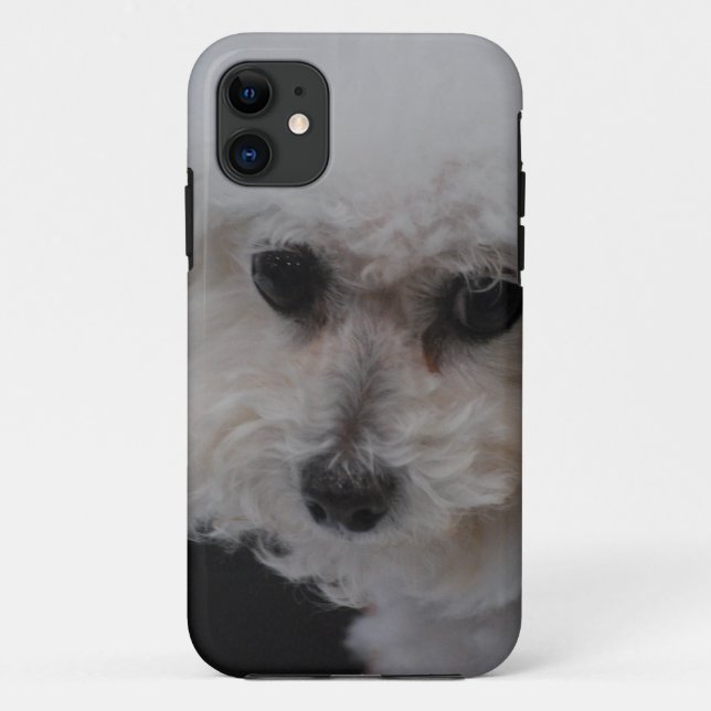 Coques Case-Mate iPhone Bichon doux Frise (Dos)
