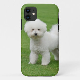 Coques Pour iPhone Bichon Frise