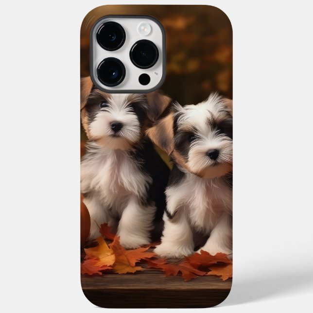Coques Case-Mate iPhone Biewer Terrier Chiot Automne Citrouille délice (Verso)