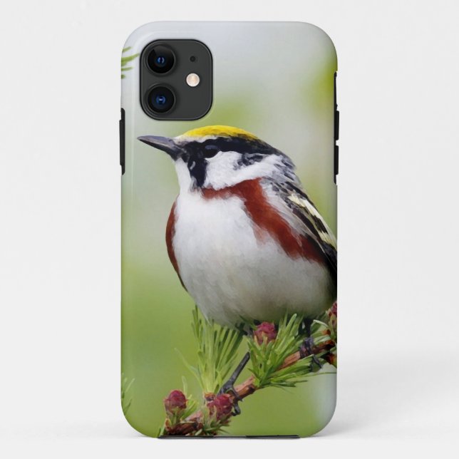 Coques Case-Mate iPhone BIRD grey_iphone (Dos)
