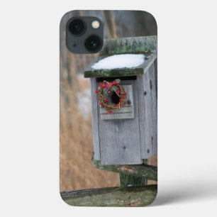 Etui iPhone 13 Bird, nest box with holiday wreath in winter