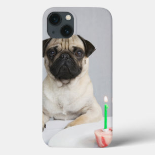 Case-Mate iPhone Case Birthday Pug