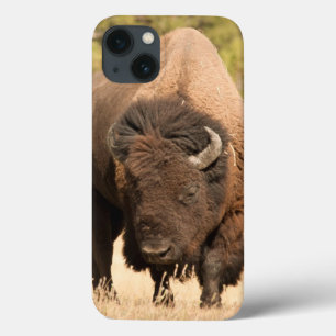 Etui iPhone 13 Bison