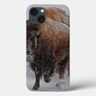Coque Case-Mate iPhone Bison de Yellowstone