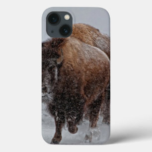 Coque Case-Mate iPhone Bison de Yellowstone