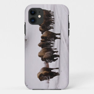Case-Mate iPhone Case Bison en hiver