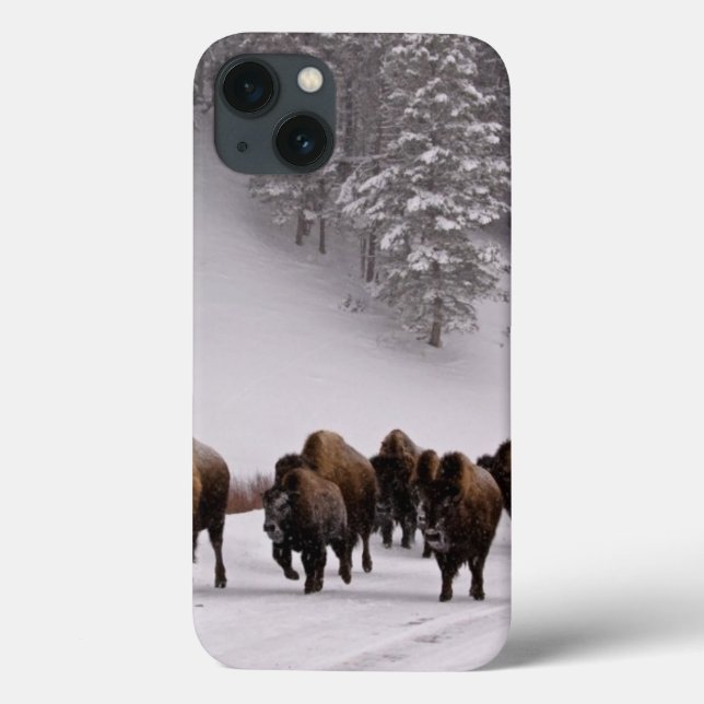 Coques Case-Mate iPhone Bison en hiver (Verso)