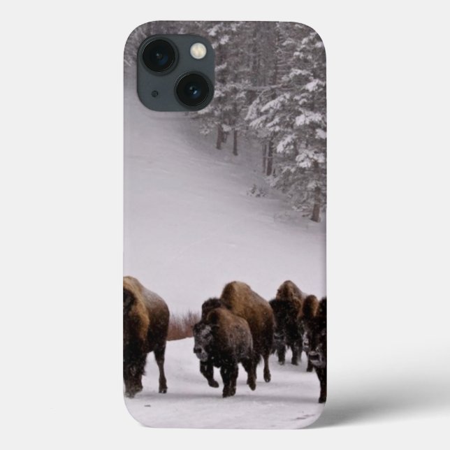 Coques Case-Mate iPhone Bison in Winter (Verso)
