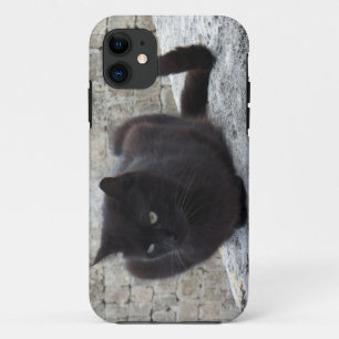 Coque iPhone 11 Black Cat iPhone 5 coque-mate
