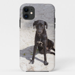 Coque iPhone 11 Black dog avec evil eye