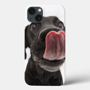 Case-Mate iPhone Case Black Labrador