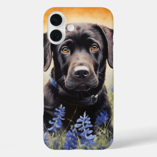 Coque Pour iPhone 16 Plus Black Labrador dans Bluebonnets