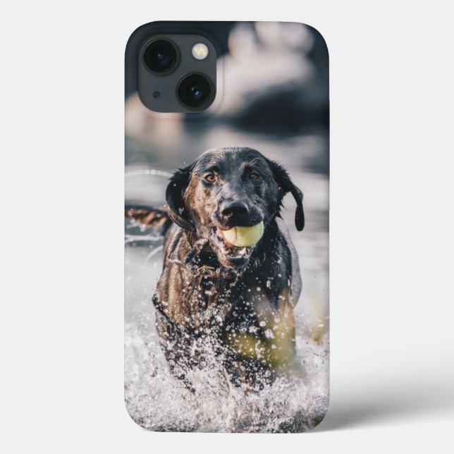 Coques Case-Mate iPhone Black Labrador Joue La Récupération Dans L'Eau (Verso)